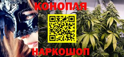 крисы Будённовск