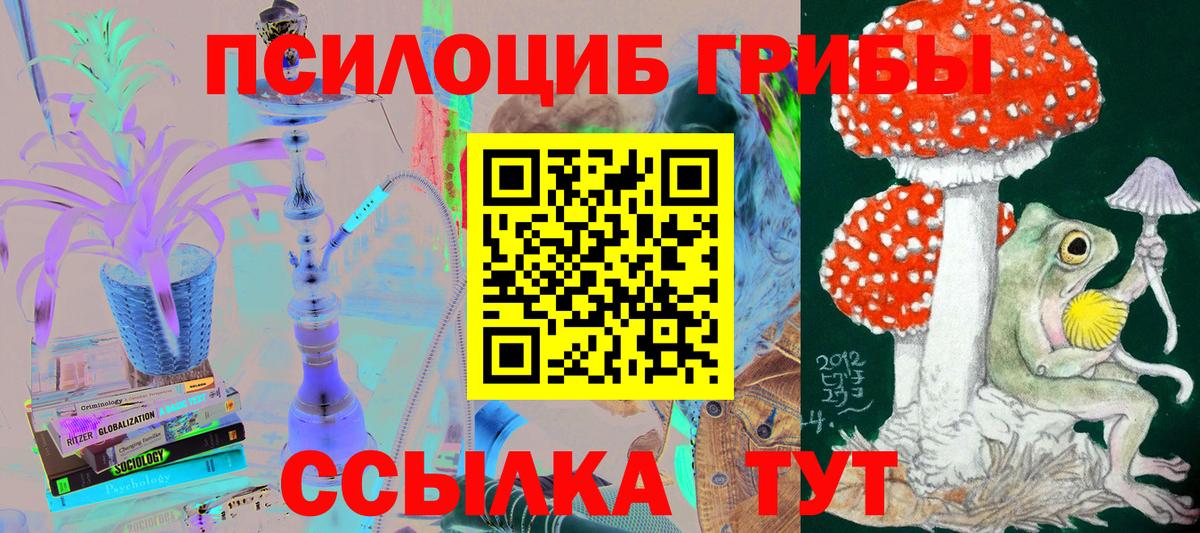 Галлюциногенные грибы Cubensis  Вход с VPN  Псилоцибиновые грибы GOLDEN TEACHER  Новодвинск 