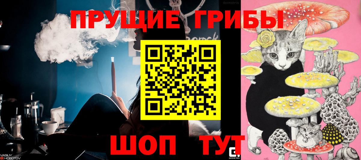 Псилоцибиновые грибы прущие грибы Новодвинск